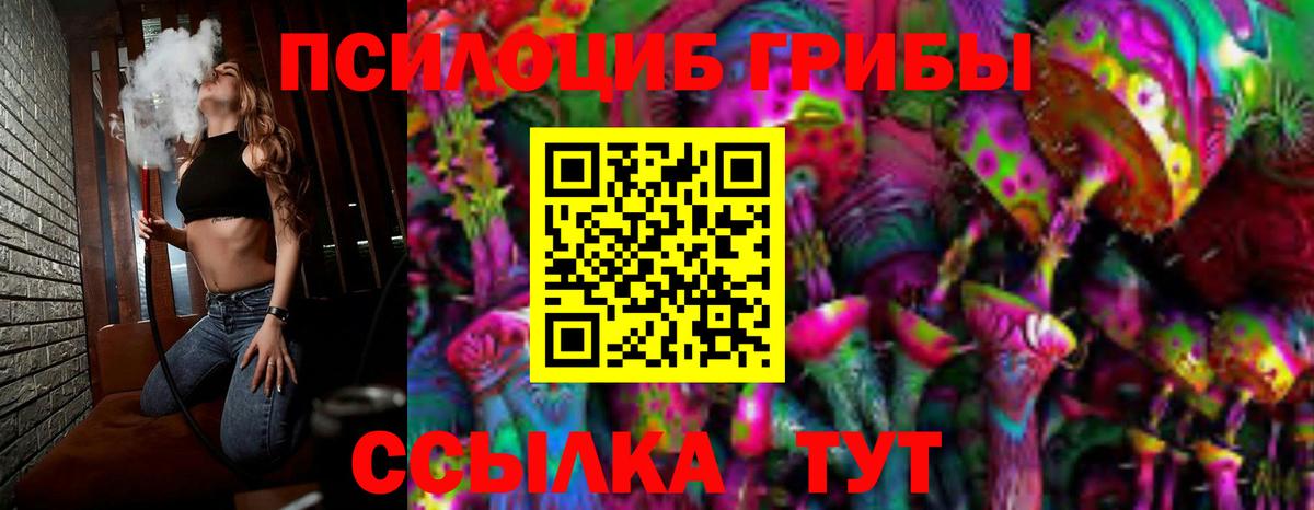 Галлюциногенные грибы Psilocybe  Вход с VPN  Пугачёв 